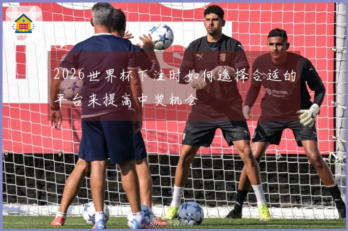 2026世界杯下注时如何选择合适的平台来提高中奖机会