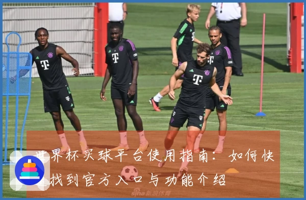 世界杯买球平台使用指南：如何快速找到官方入口与功能介绍