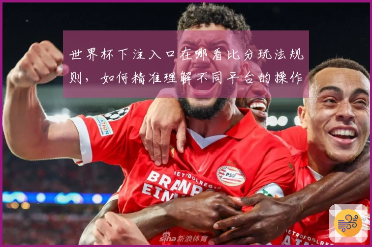世界杯下注入口在哪看比分玩法规则,如何精准理解不同平台的操作流程