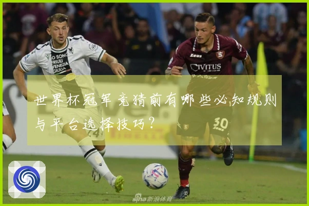 世界杯冠军竞猜前有哪些必知规则与平台选择技巧？