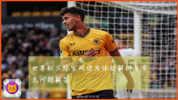 世界杯买球官网使用体验解析与常见问题解答