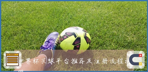 世界杯买球平台推荐及注册流程说明