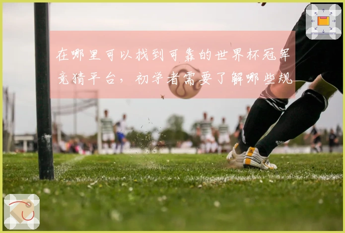 在哪里可以找到可靠的世界杯冠军竞猜平台，初学者需要了解哪些规则？