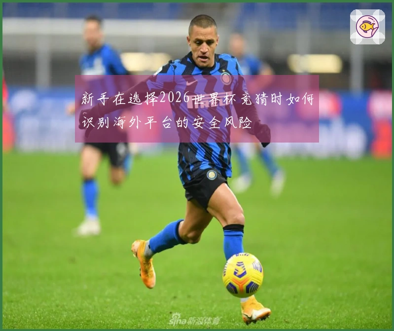 新手在选择2026世界杯竞猜时如何识别海外平台的安全风险