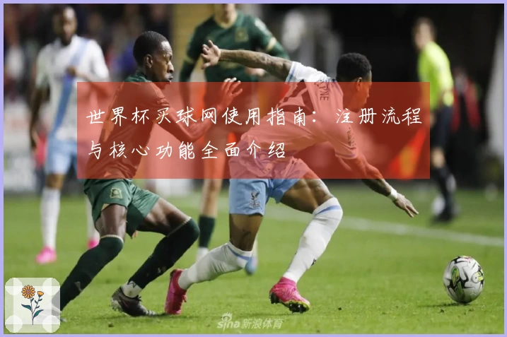 世界杯买球网使用指南：注册流程与核心功能全面介绍
