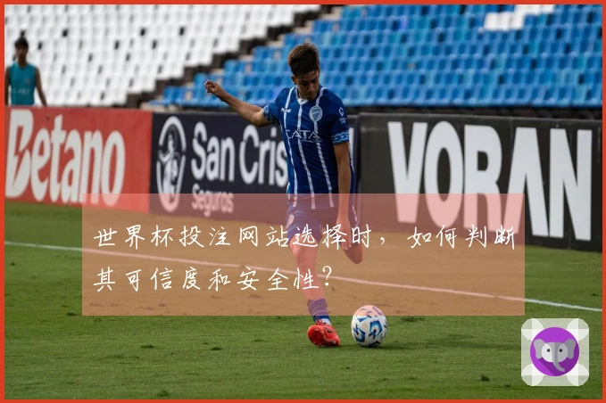 世界杯投注网站选择时，如何判断其可信度和安全性？
