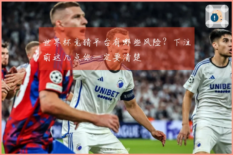 世界杯竞猜平台有哪些风险？下注前这几点你一定要清楚