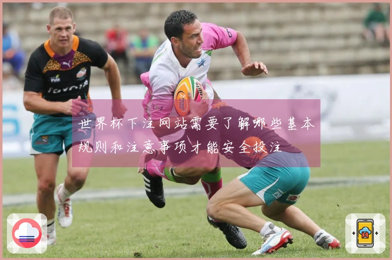 世界杯下注网站需要了解哪些基本规则和注意事项才能安全投注