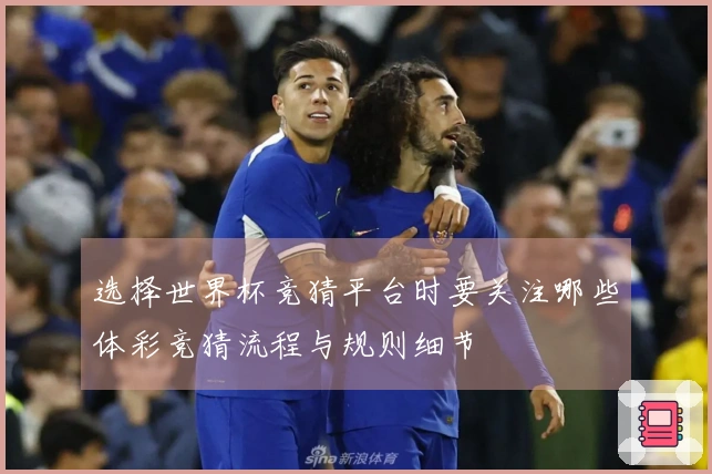 选择世界杯竞猜平台时要关注哪些体彩竞猜流程与规则细节