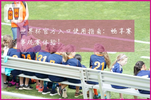 世界杯官方入口使用指南：畅享赛事观赛体验！