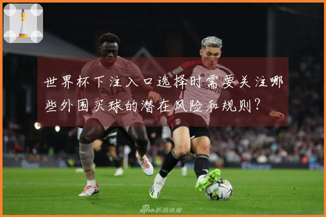 世界杯下注入口选择时需要关注哪些外围买球的潜在风险和规则？