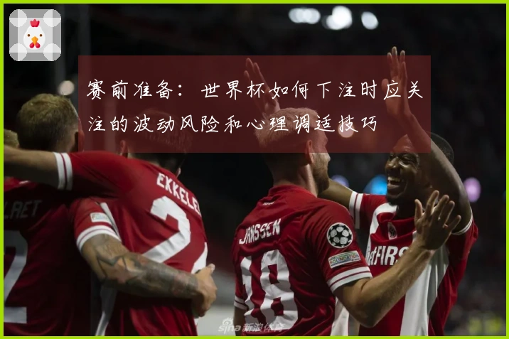 赛前准备：世界杯如何下注时应关注的波动风险和心理调适技巧