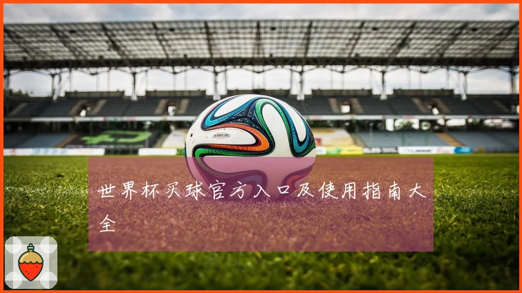世界杯买球官方入口及使用指南大全