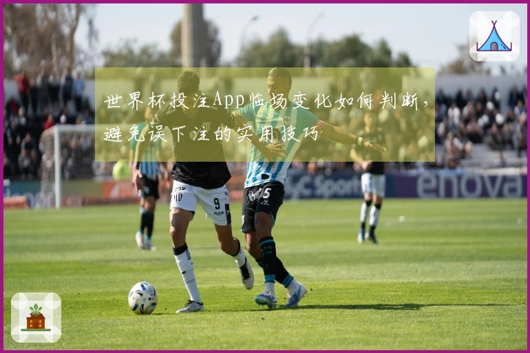 世界杯投注App临场变化如何判断,避免误下注的实用技巧