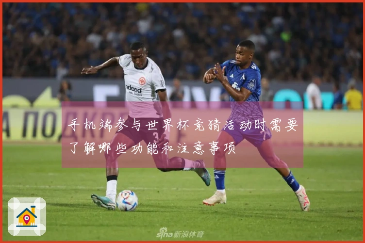 手机端参与世界杯竞猜活动时需要了解哪些功能和注意事项