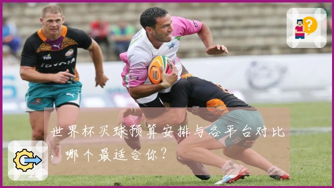世界杯买球预算安排与各平台对比，哪个最适合你？