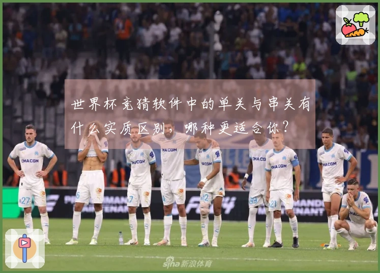 世界杯竞猜软件中的单关与串关有什么实质区别,哪种更适合你?