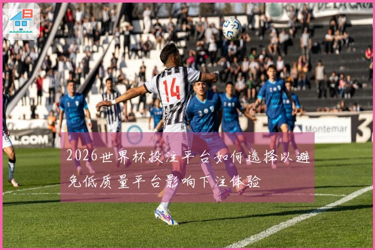 2026世界杯投注平台如何选择以避免低质量平台影响下注体验