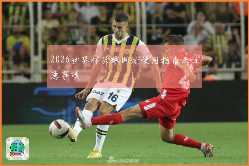 2026世界杯买球网址使用指南及注意事项