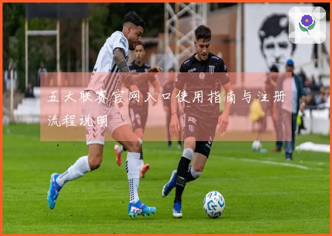 五大联赛官网入口使用指南与注册流程说明