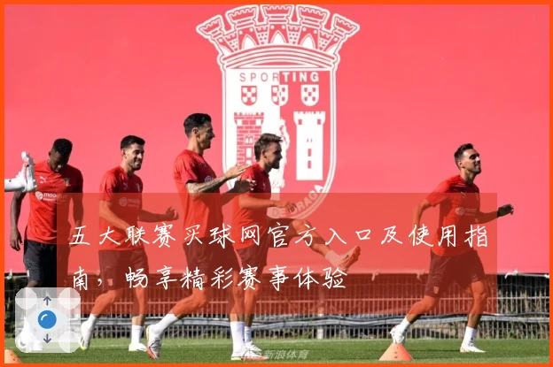 五大联赛买球网官方入口及使用指南，畅享精彩赛事体验