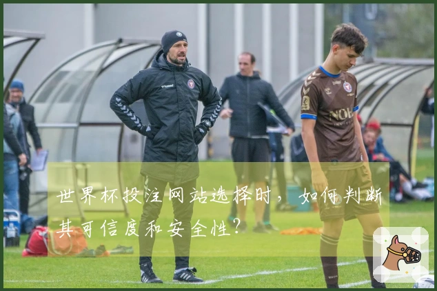 世界杯投注网站选择时，如何判断其可信度和安全性？