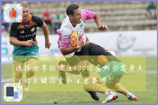 选择世界杯投注app时有哪些需要关注的关键因素和注意事项?